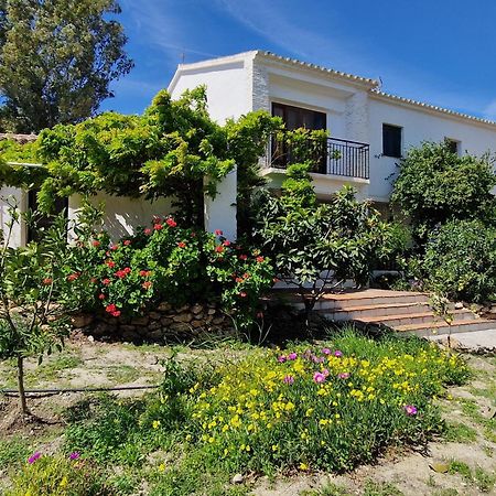 Cortijo Nerja Artist Paradise Eksteriør billede