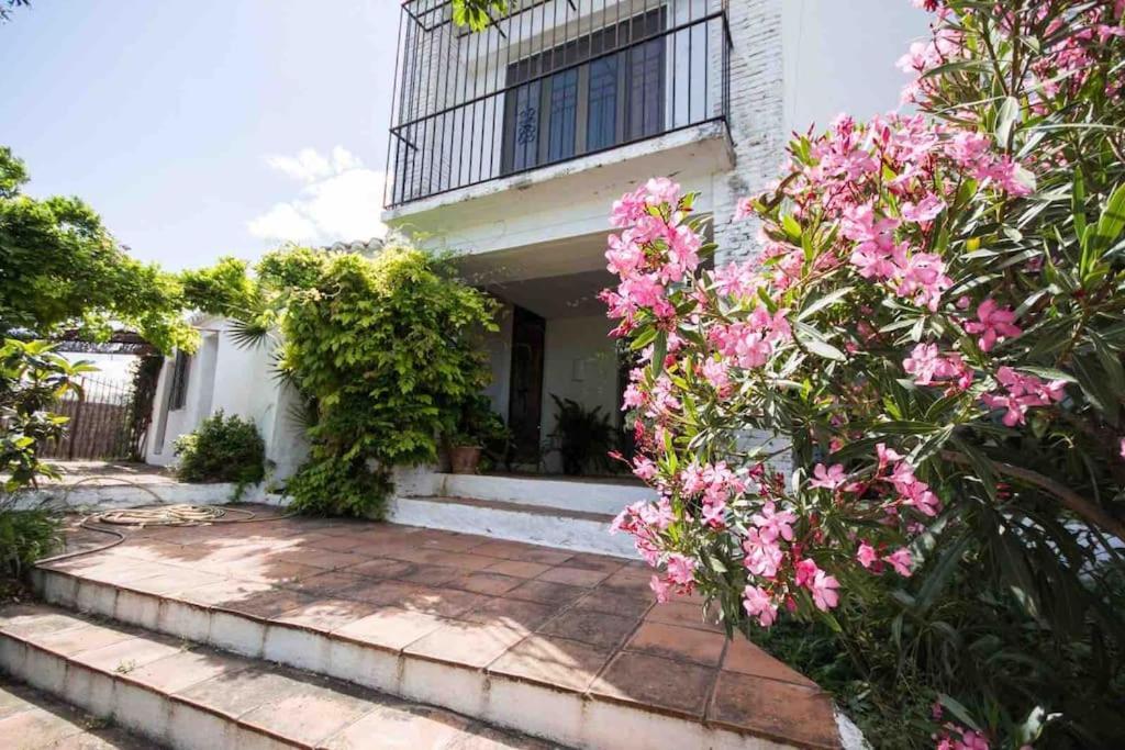 Cortijo Nerja Artist Paradise Eksteriør billede