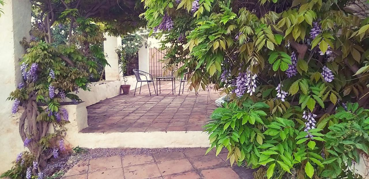 Cortijo Nerja Artist Paradise Eksteriør billede