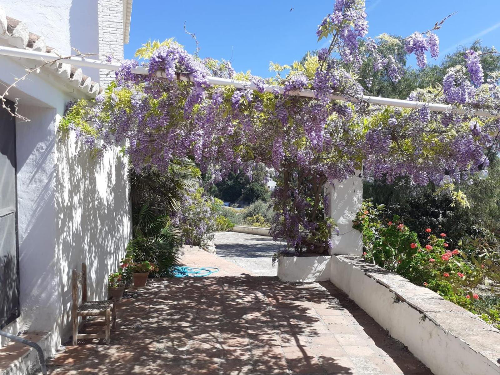 Cortijo Nerja Artist Paradise Eksteriør billede