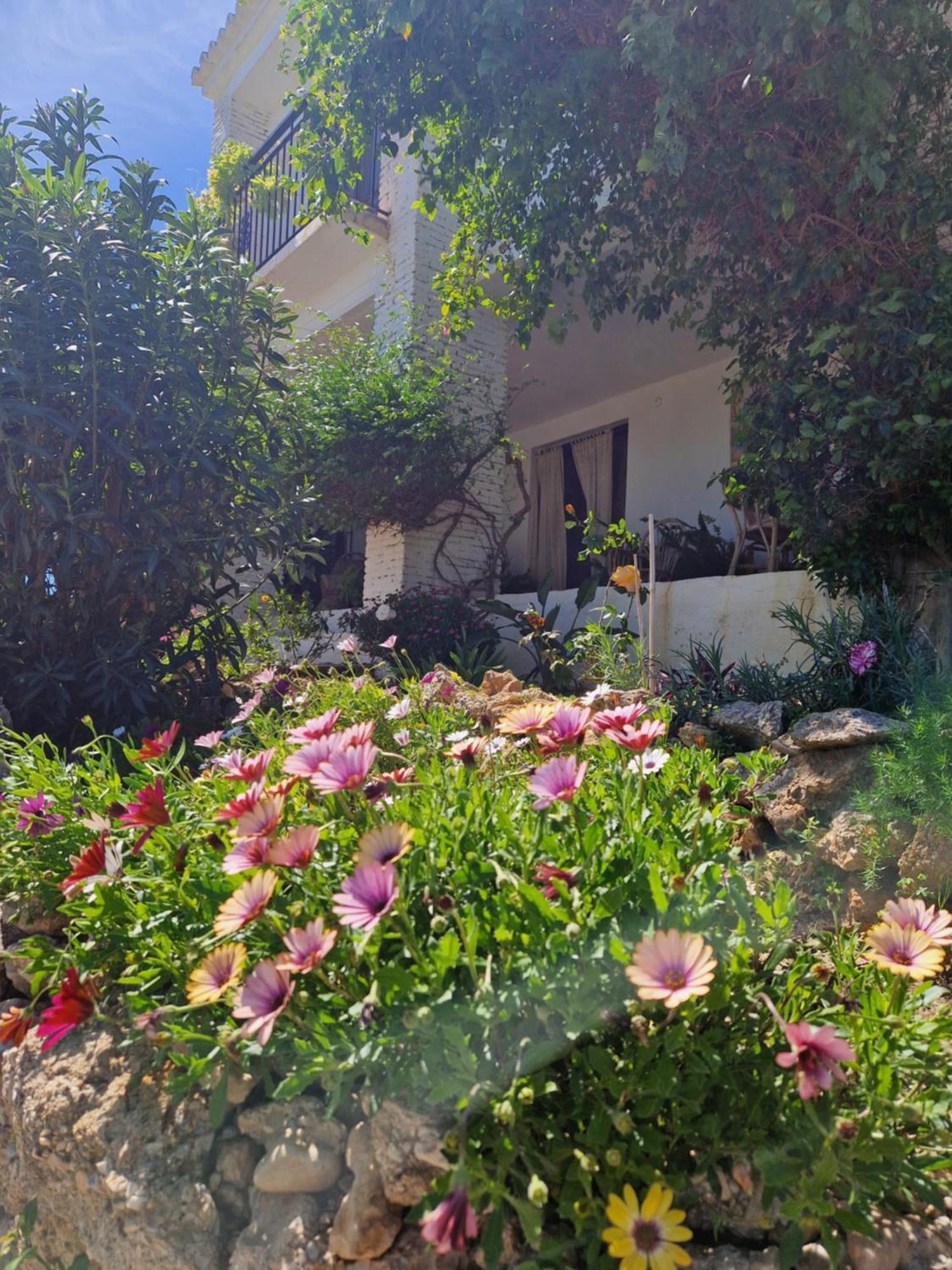 Cortijo Nerja Artist Paradise Eksteriør billede