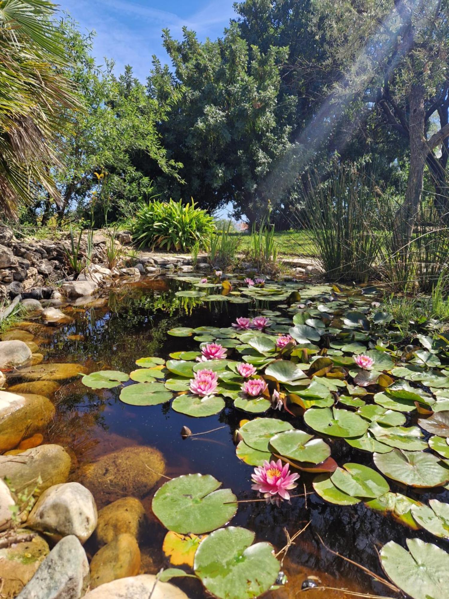 Cortijo Nerja Artist Paradise Eksteriør billede
